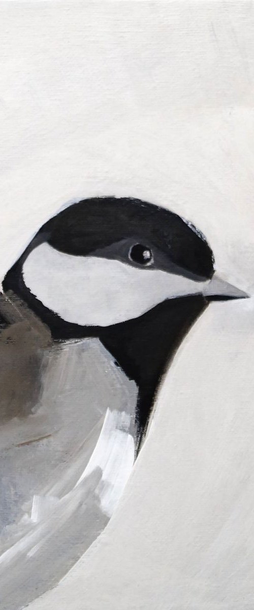 Bird friend portrait. by Nadia Moniatis