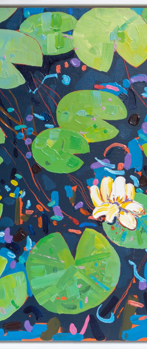 Tasman Lily Pond 49 by Joseph Villanueva