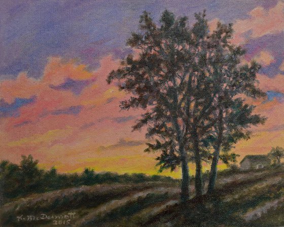 Vineyard Sundown - 8X10 oil