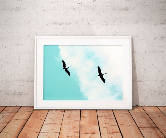 Crane(s) V | Limited Edition Fine Art Print 1 of 10 | 60 x 40 cm