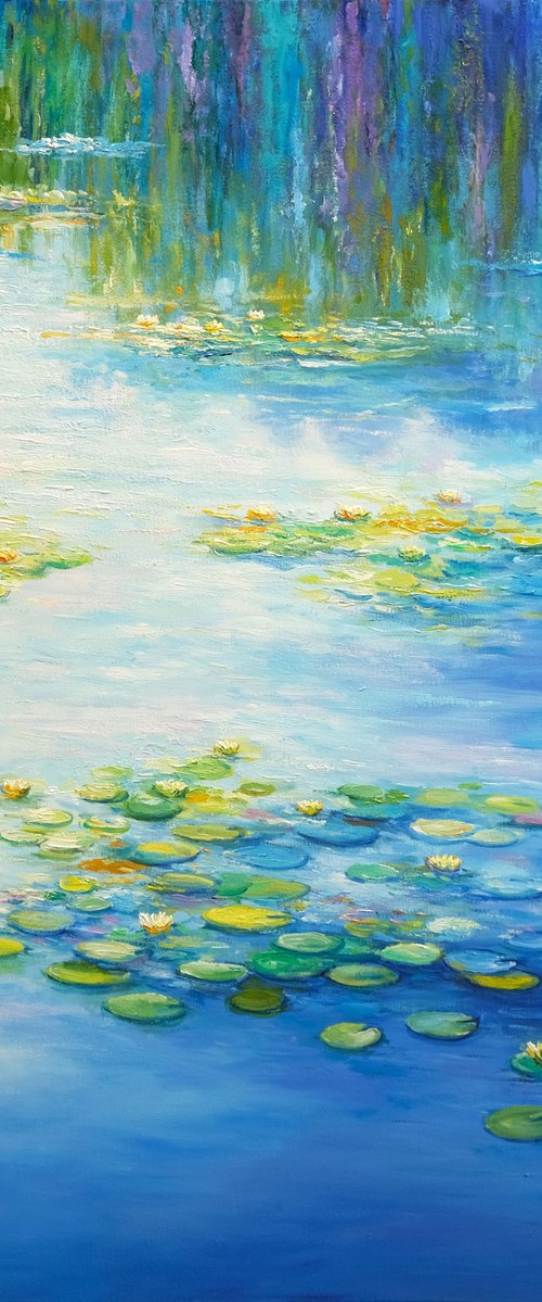 Water Lilies by Behshad Arjomandi