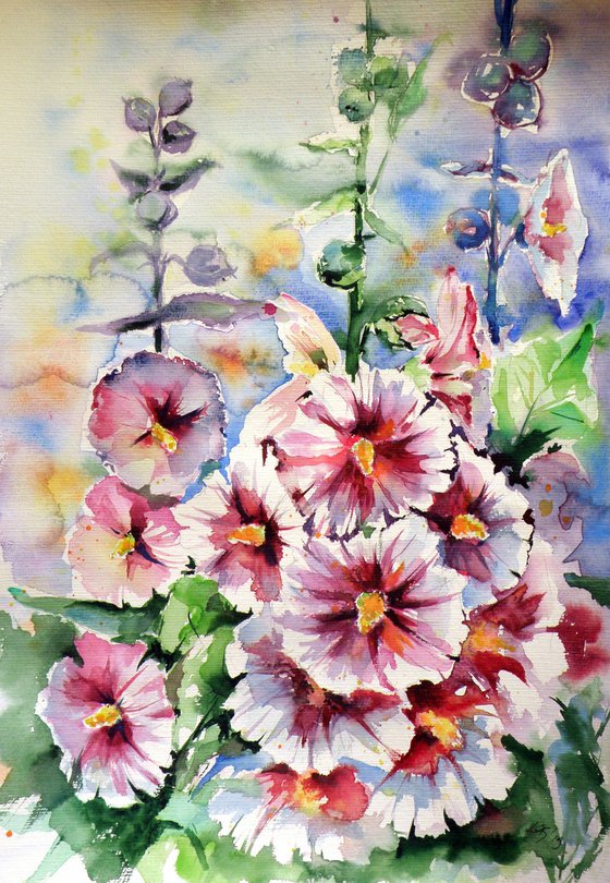 Mallow flowers