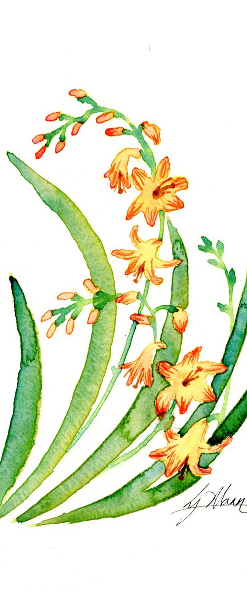 Crocosmia motif by Lisa Mann