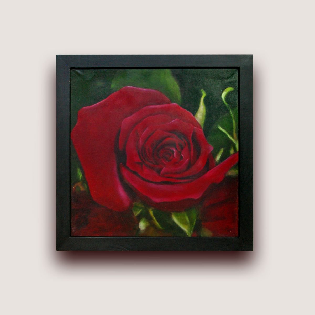 Red Rose - Realistic Still Life by Matthew Withey