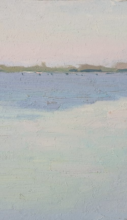 Morning on the Estuary by Vasyl Koval