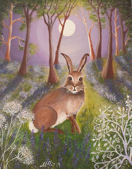 Hare in Bluebell Wood by Anne-Marie Ellis