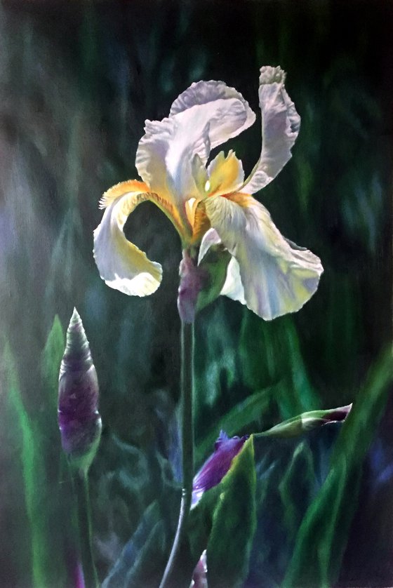 Realism oil painting:flowers c134