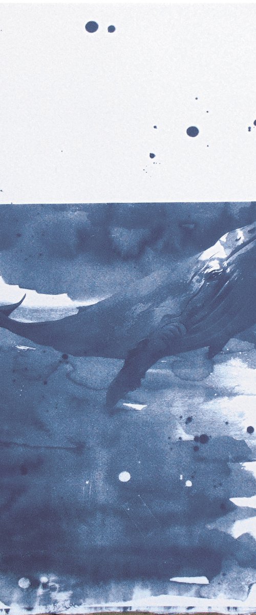 Cyanotype 22 Whale by Manel Villalonga