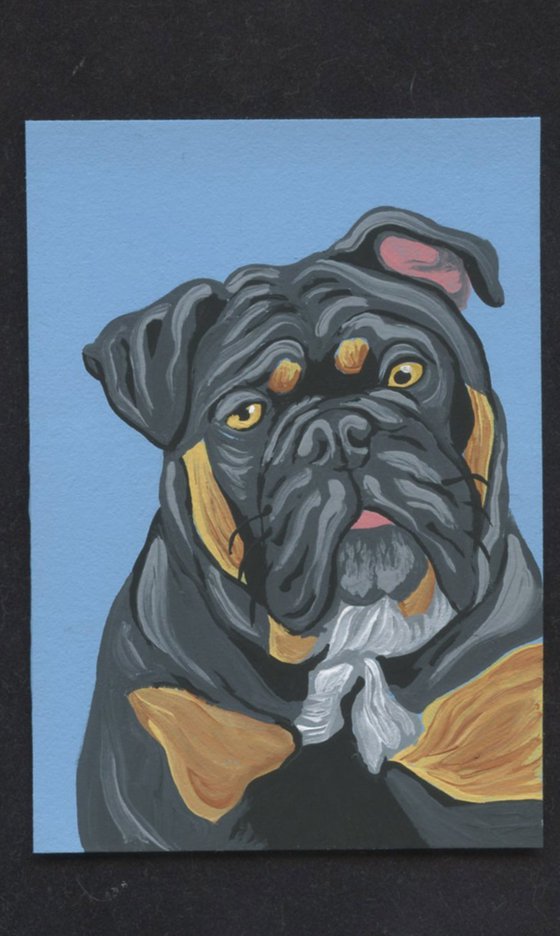 ACEO ATC Original Miniature Painting Olde English Bulldogge Pet Dog Art-Carla Smale