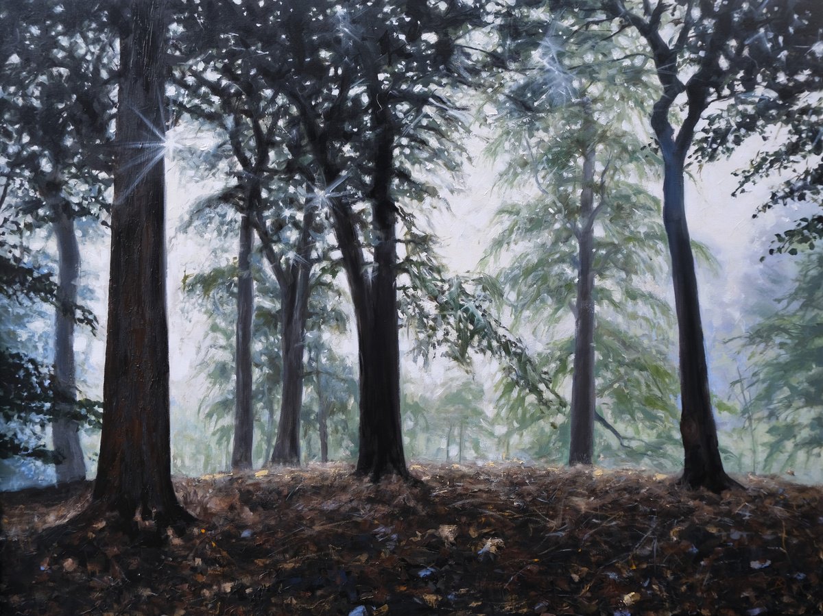 Expressive Landscape Oil Painting By Kerry Lisa Davies, 40 X 30", Wonder Land, Original Artwork