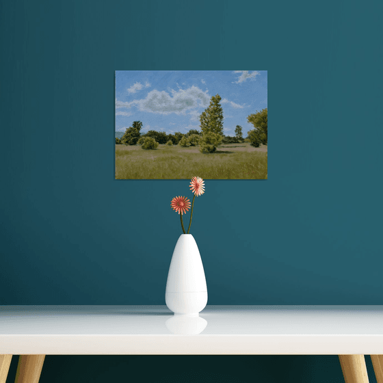 Bar Bushes II - The Calm of Summer Fields