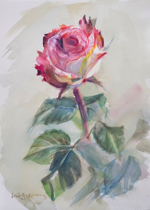 Rose. 11062018 by Irina Bibik-Chkolian