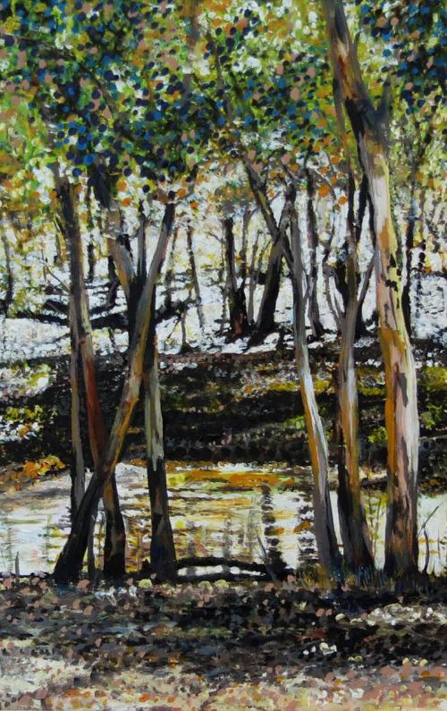 Sunlit Trees by Roz Edwards