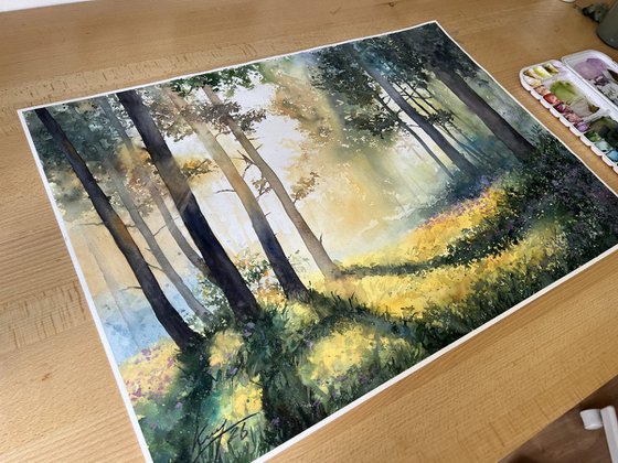 Misty Morning Forest