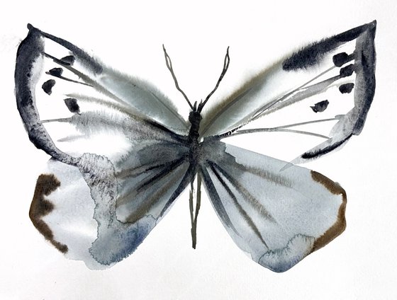 Butterfly Study No. 2