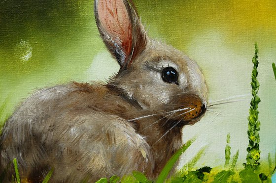 Rabbit