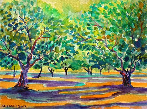 Summer olive orchard
