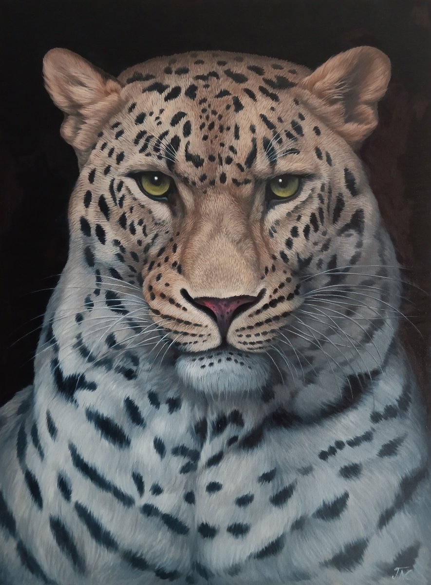 Photorealistic Animal Oil Painting By Tamar Nazaryan, 24 X 31", Guardian Of The Shadows, Original Artwork