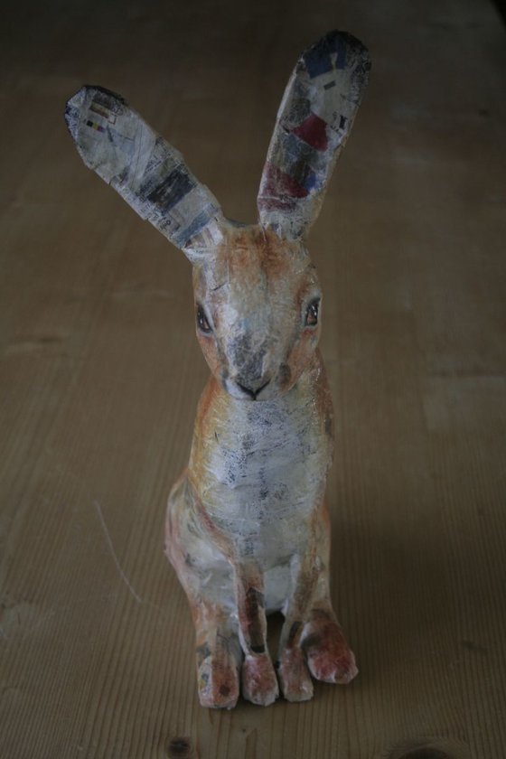 Hare