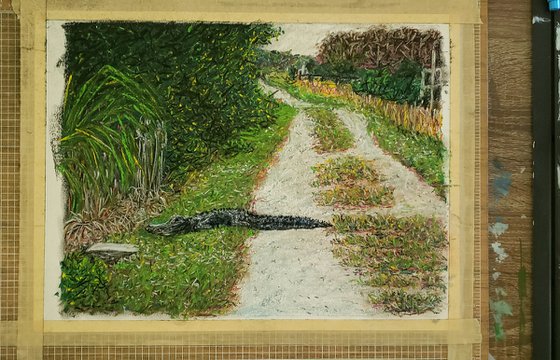 Alligator On The Trail