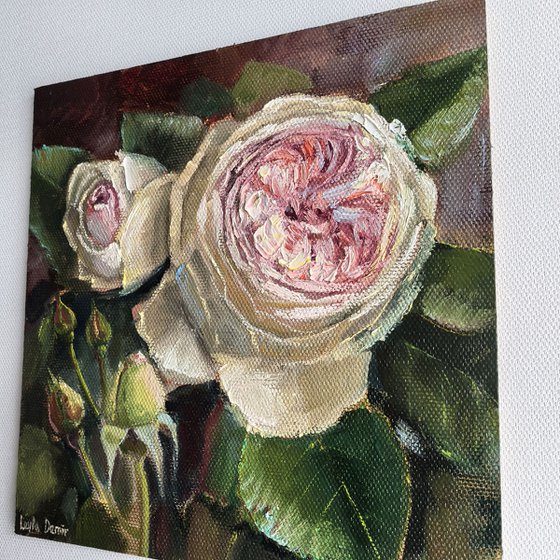 Pink roses still life