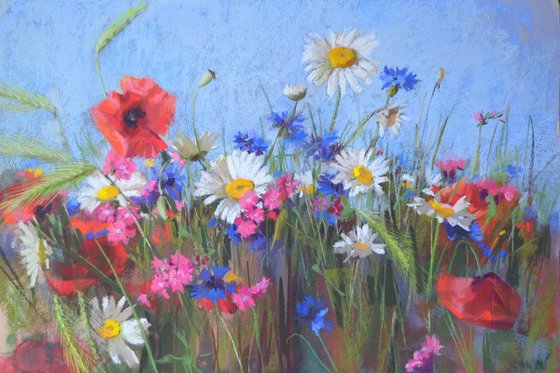 Midsummer Meadow