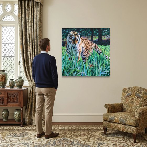 Amur Tiger - First Encounter