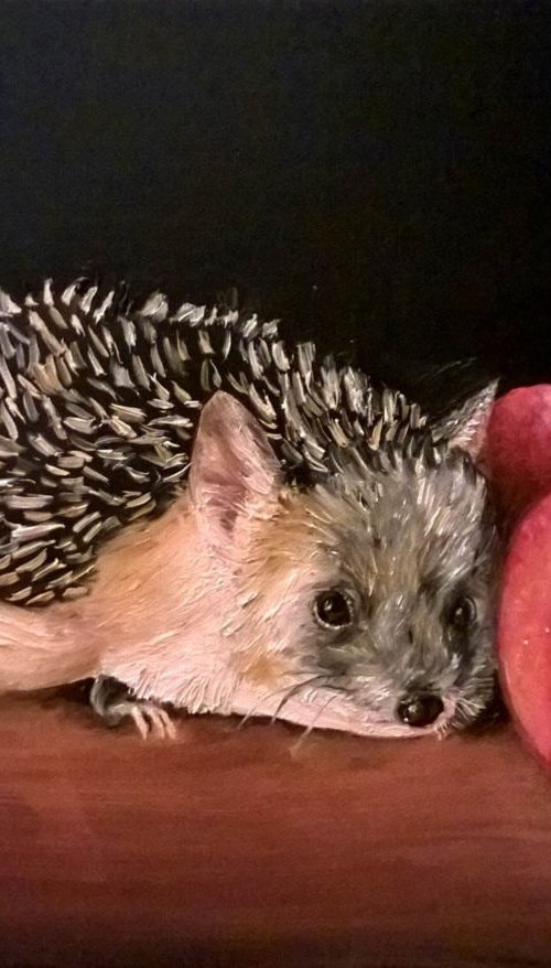 hedgehog by Viktória Déri