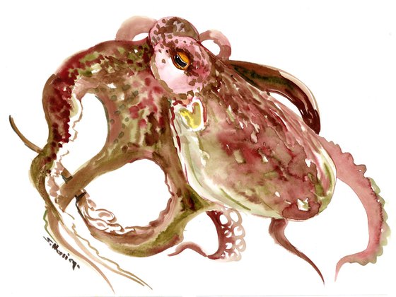 Octopus