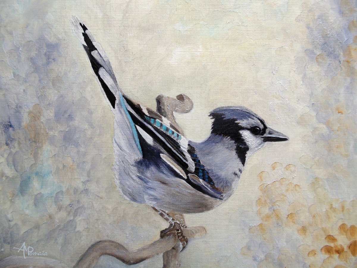 Impressionistic Animal Oil Painting By Angeles M. Pomata, 13 X 10, Attitude Derriere Blue Jay, Original Artwork