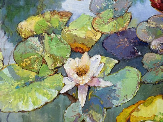 Water Lilies