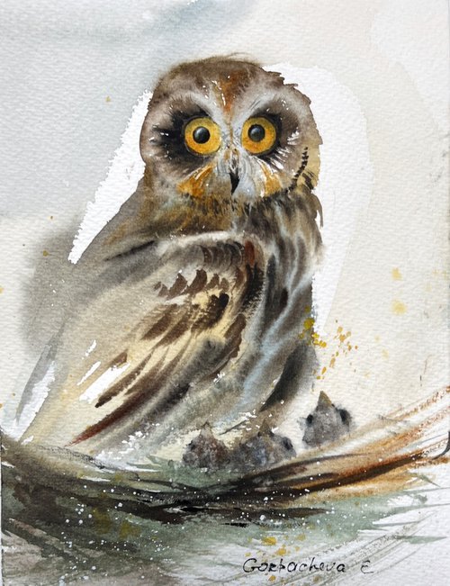 Owl in the nest by Eugenia Gorbacheva