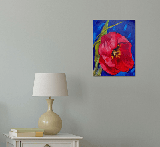 Red tulip