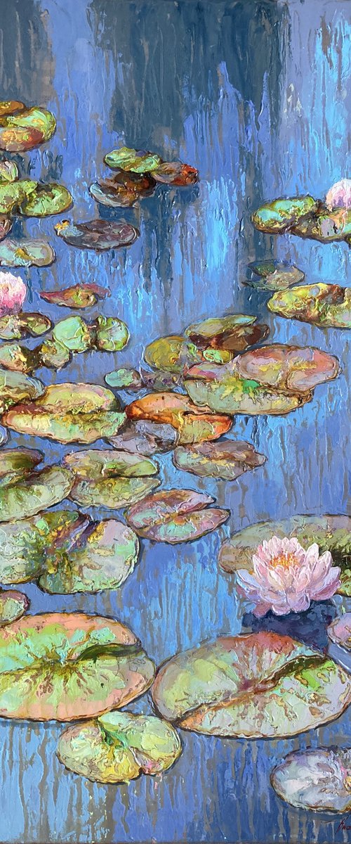 Water lilies. by Andriy Vutyanov