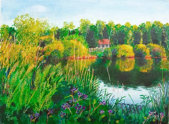 Village pond in late summer