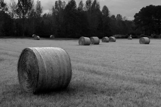 American Road Trip (#940)