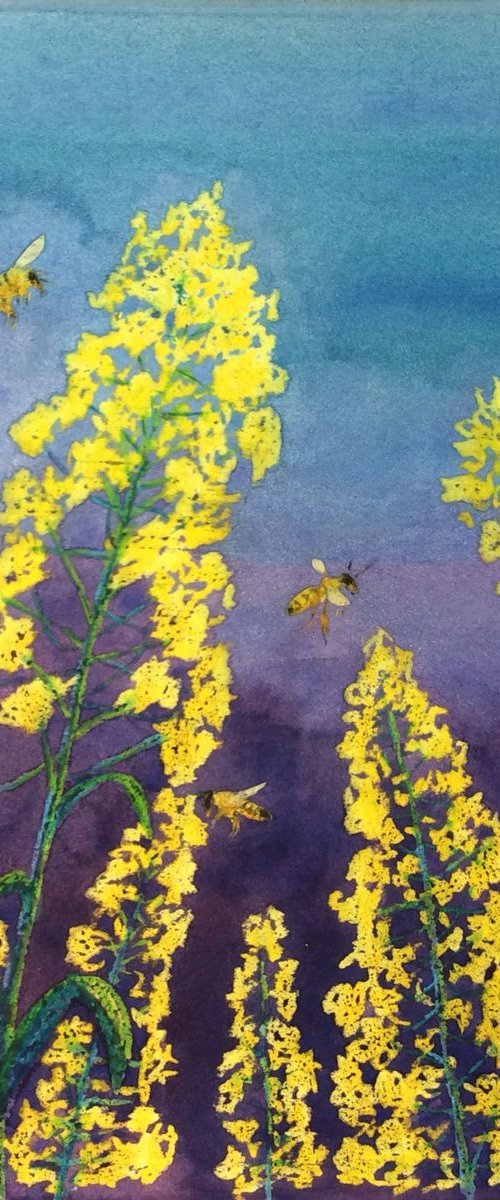 Bee&blooming yellow by Jing Tian