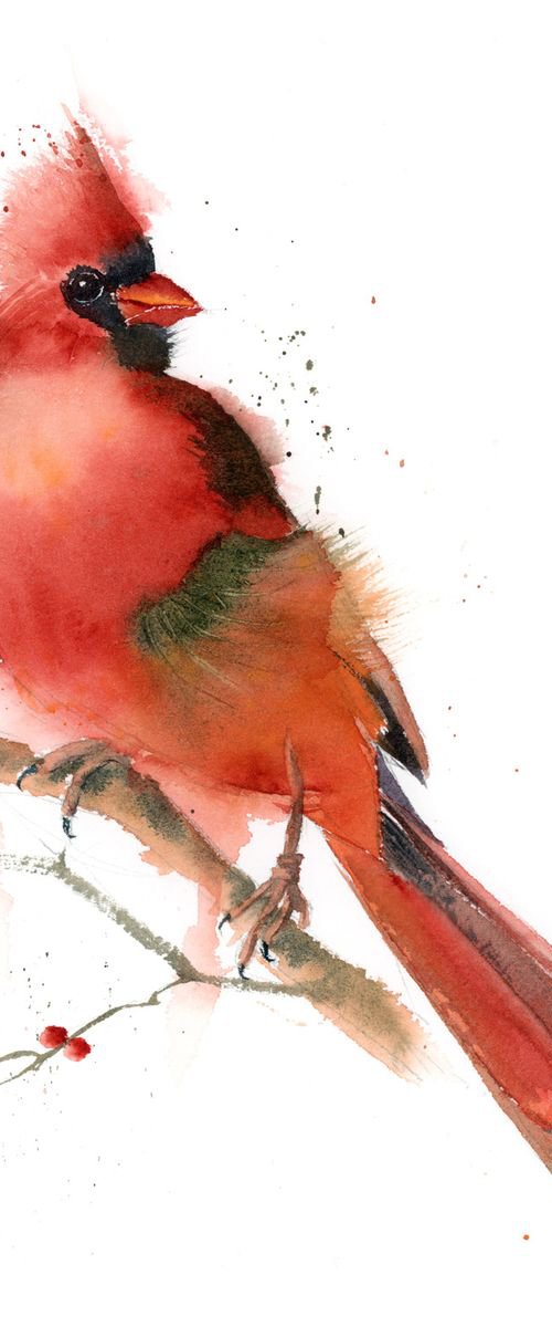 Red Cardinal by Olga Tchefranov (Shefranov)