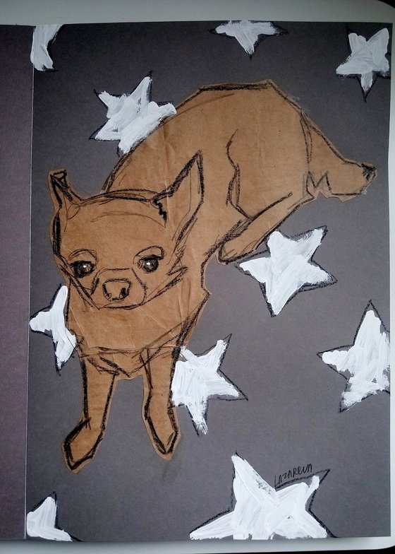 #64/24 Chihuahua