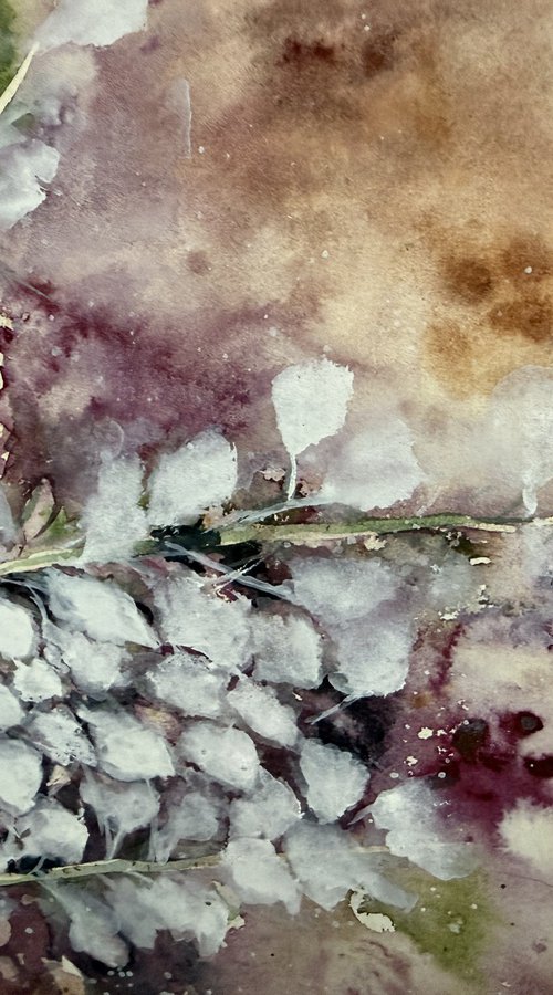 Wisteria’s Whisper by Nahid Aamina Sowkath