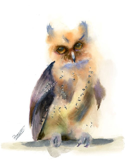 Owl by Olga Shefranov (Tchefranov)