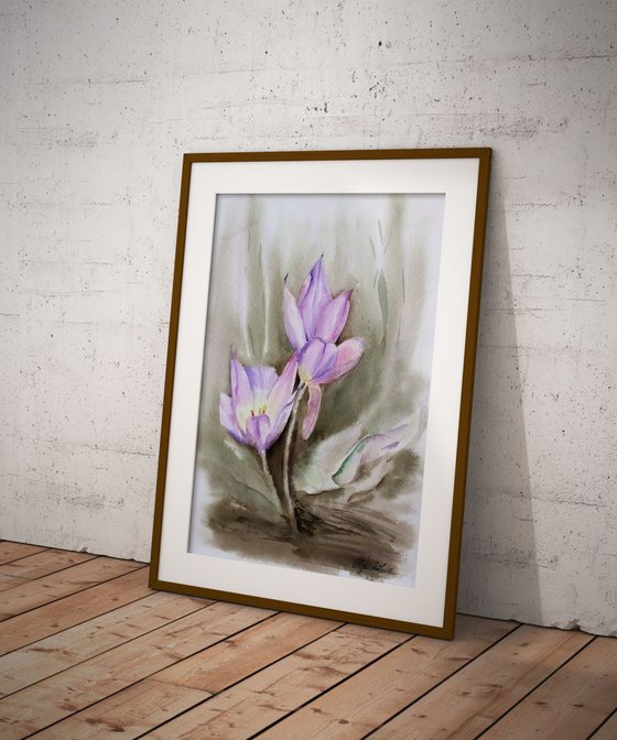 Crocus Blossom