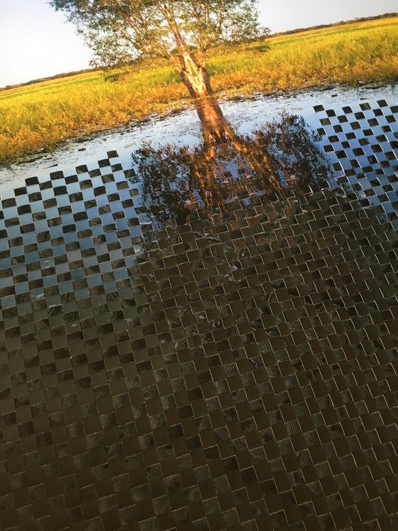 Woven family tree still waters
