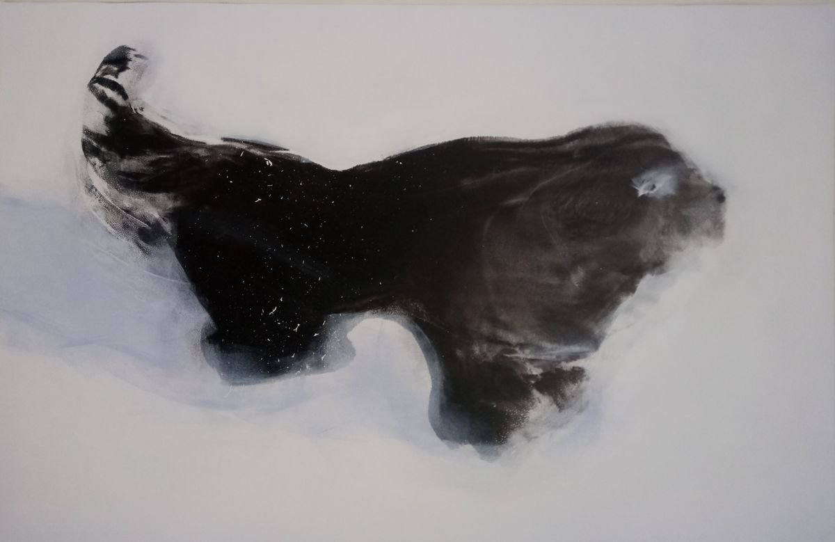 White snow. Black dog. by Maija Nochevnaya