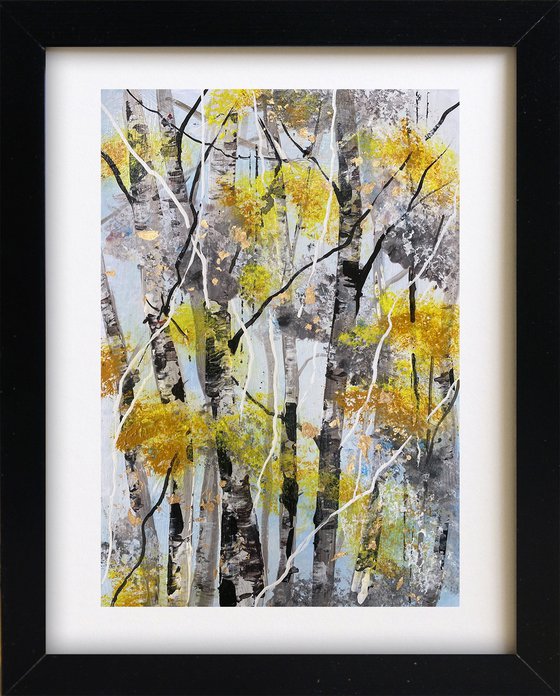Autumn Silver Birch Trunks 1