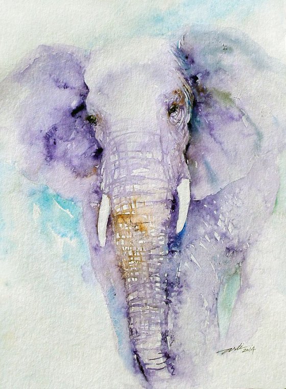 Dream Blues Elephant