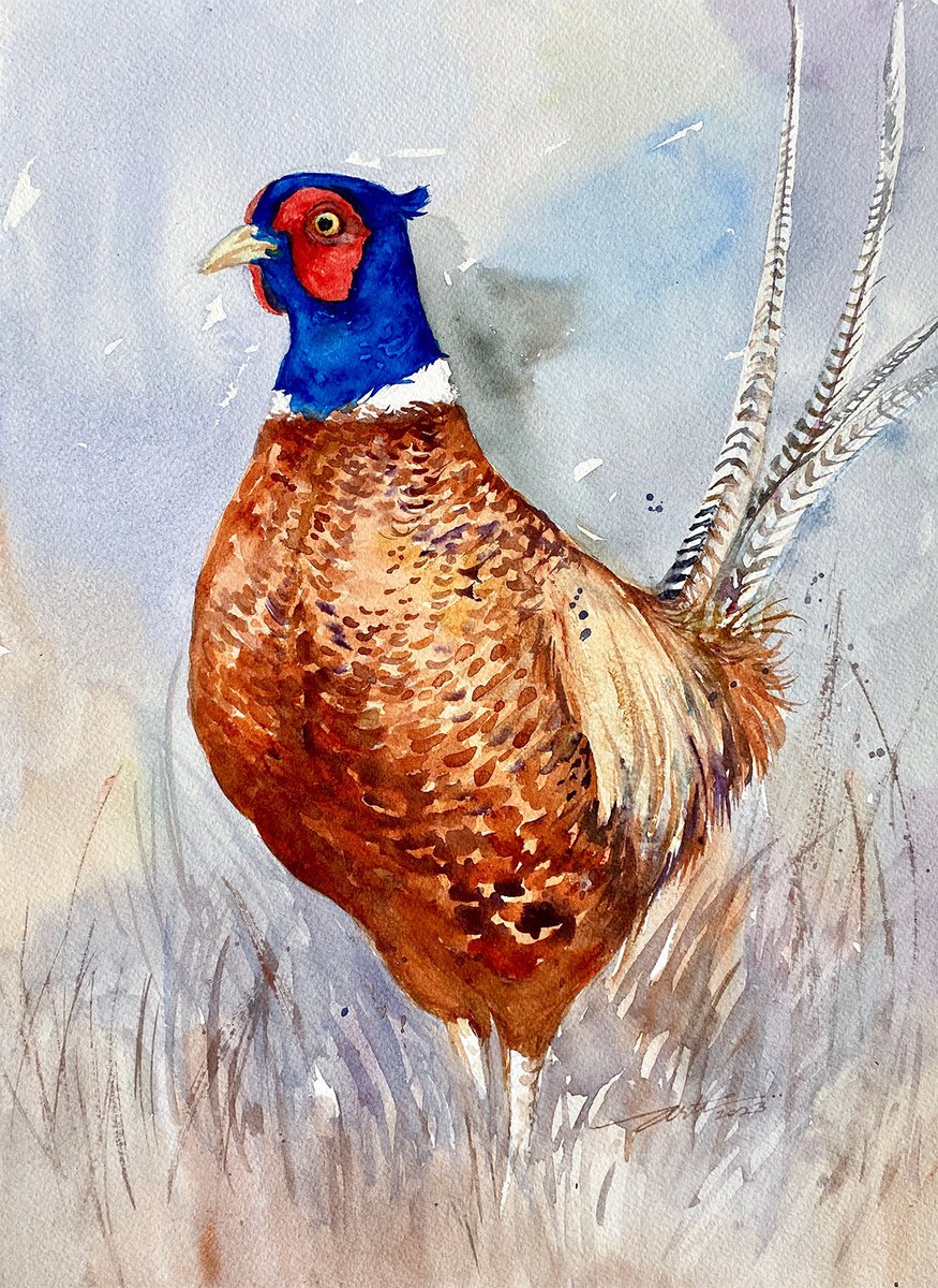 Ring Necked Pheasant Paul by Arti Chauhan