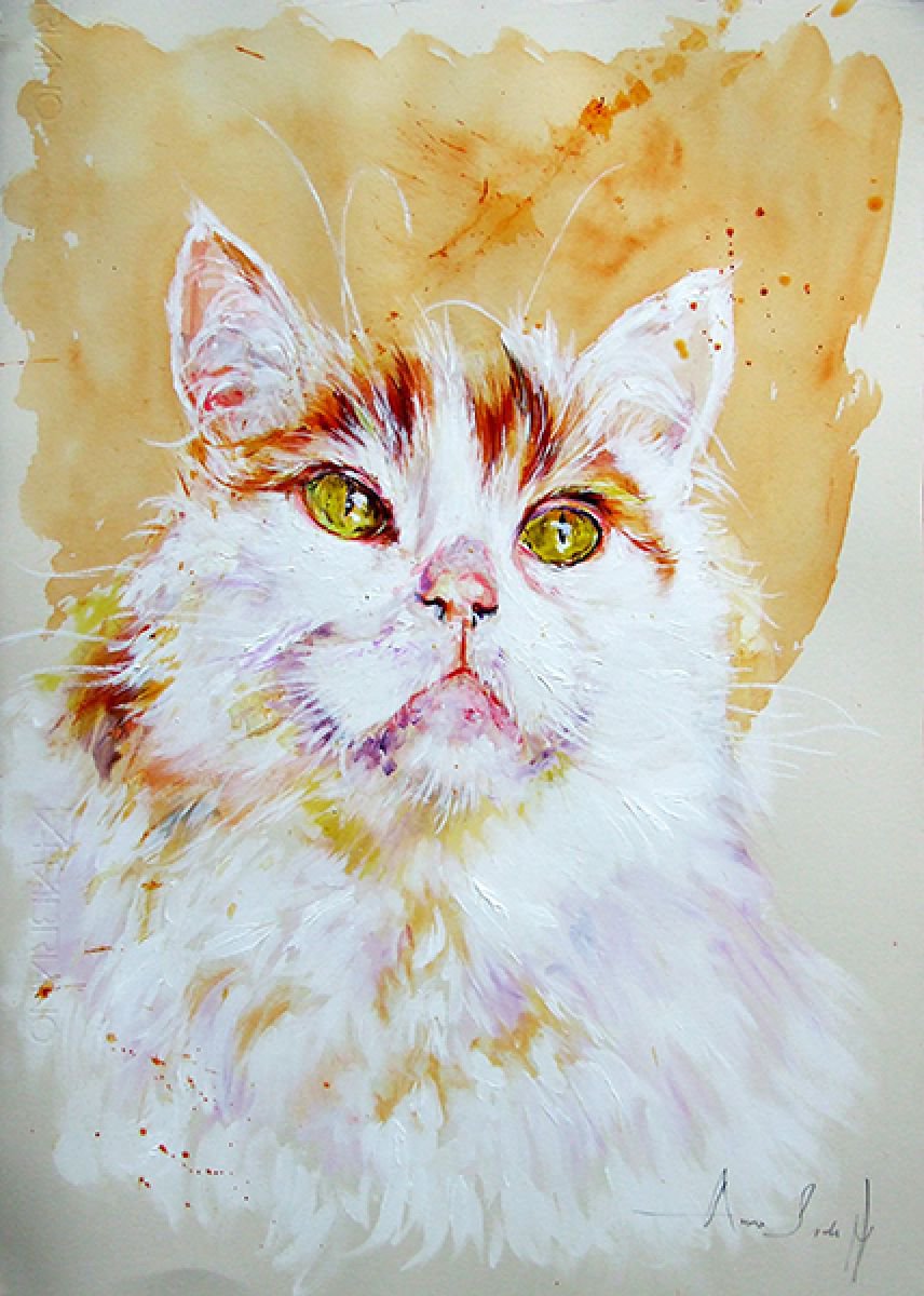 Turkish Van - Portrait of a Cat by Anna Sidi-Yacoub