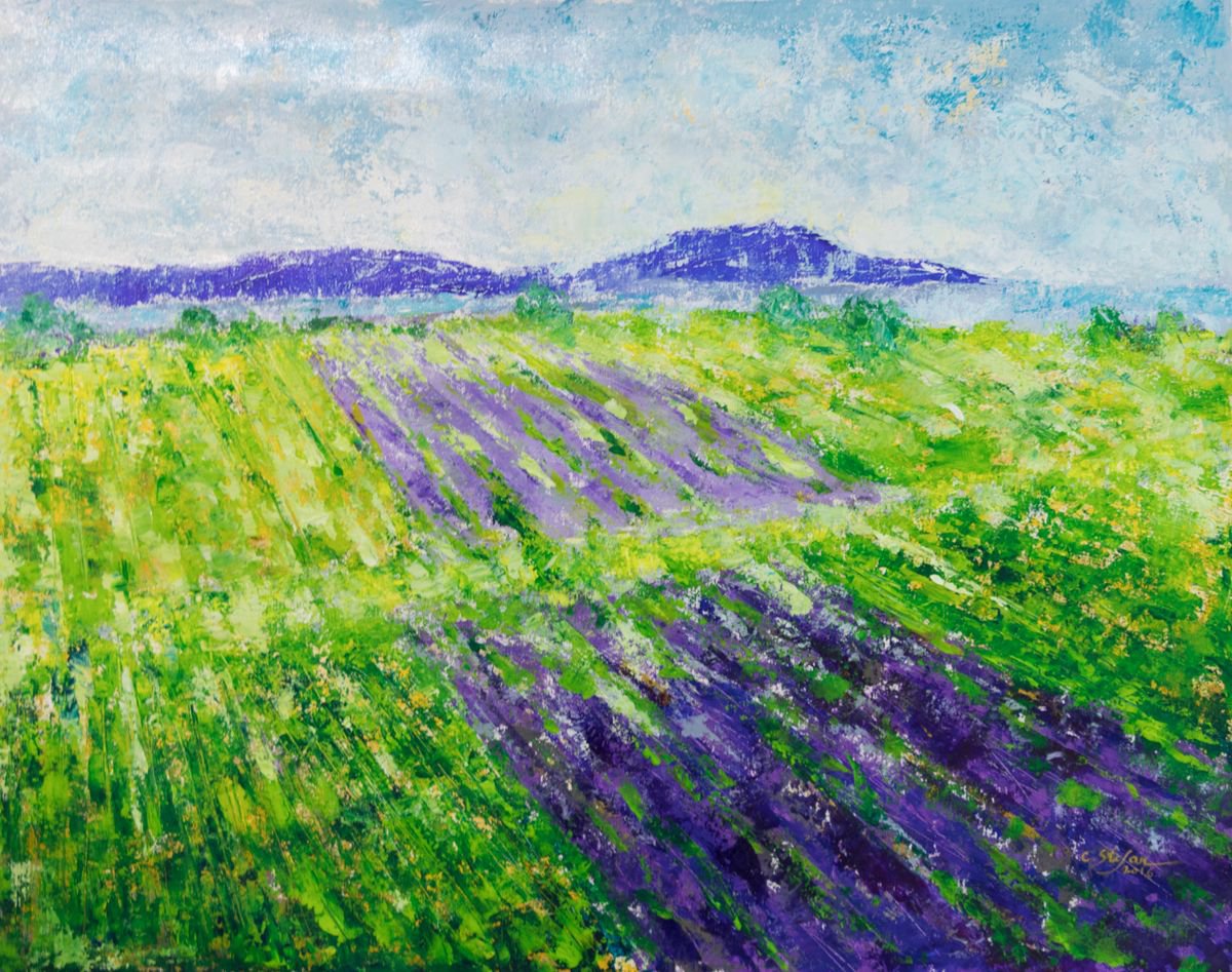 Lavender Fields by Cristina Stefan