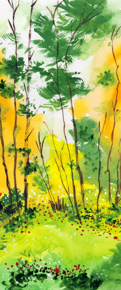 Summer has arrived by Anil Nene